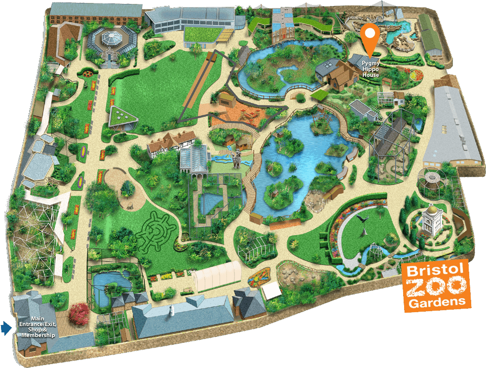Bristol Zoo Map 2018 (1000x801), Png Download