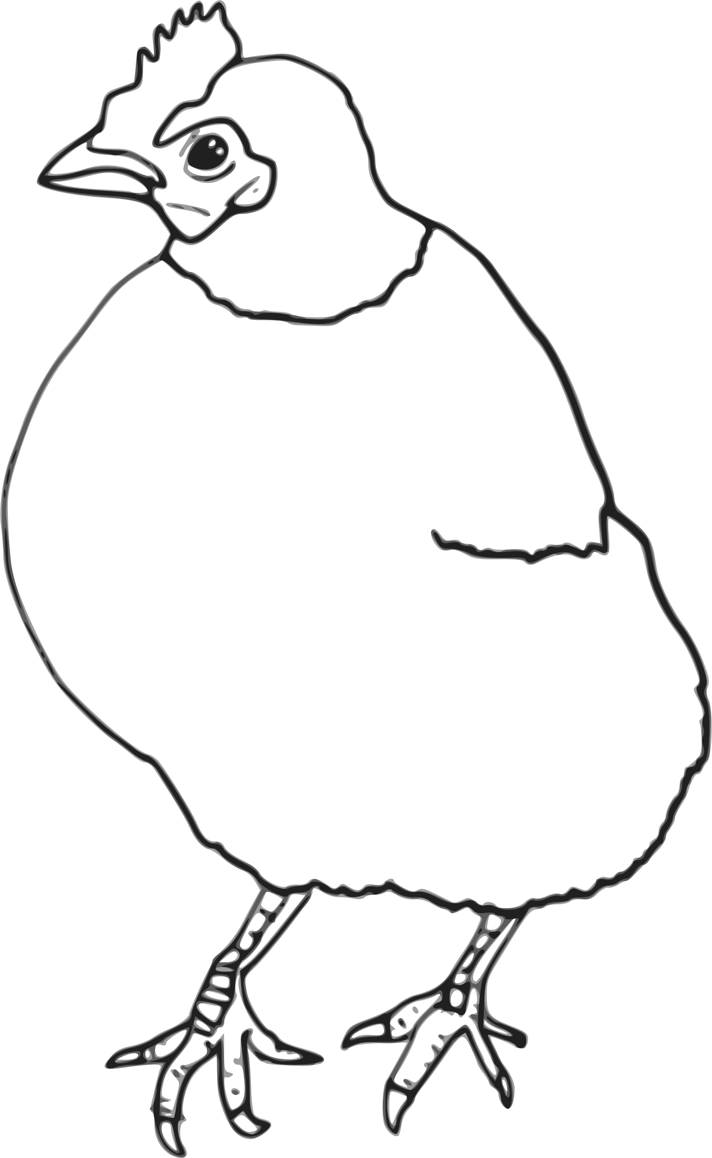 Chicken Drawing Outline - Chicken (1448x2354), Png Download