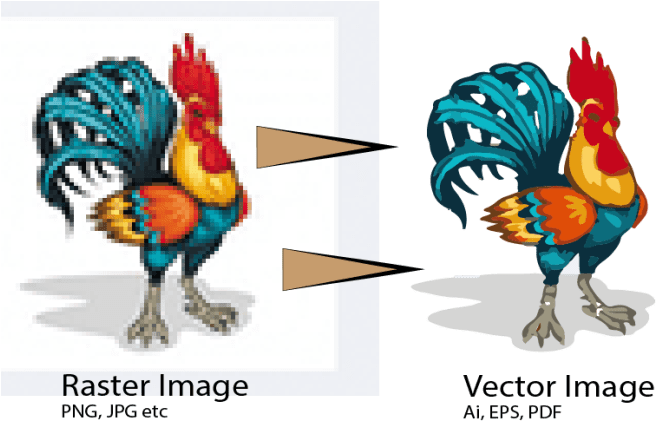 Vectorise Or Vector Trace Your Logo - Rooster Don't Get Cocky Beach Towel (680x433), Png Download