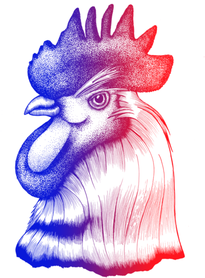 Roostersite (1000x571), Png Download