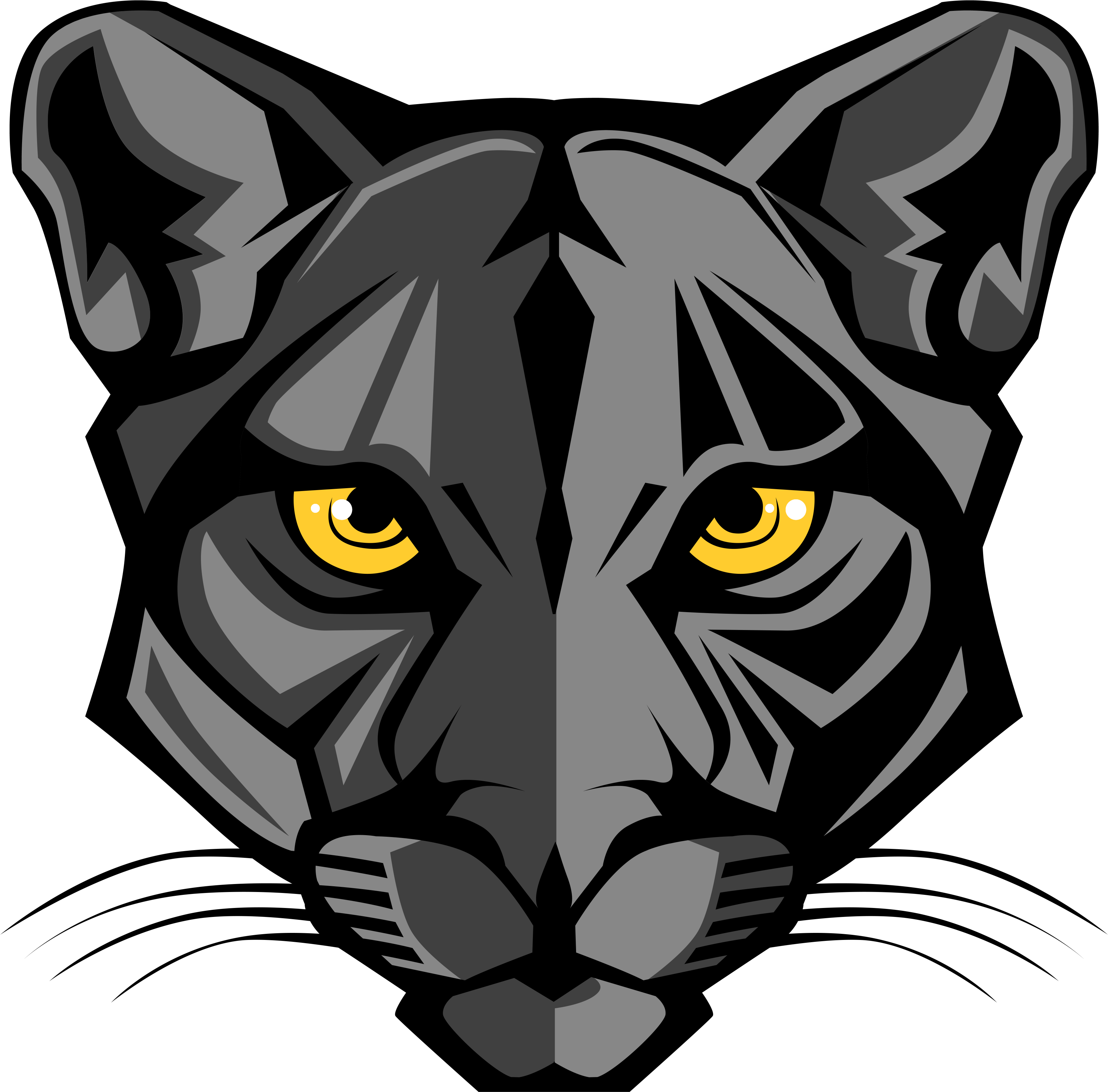 Paws X Carwad Net - Panthers Face Clip Art (1024x1024), Png Download