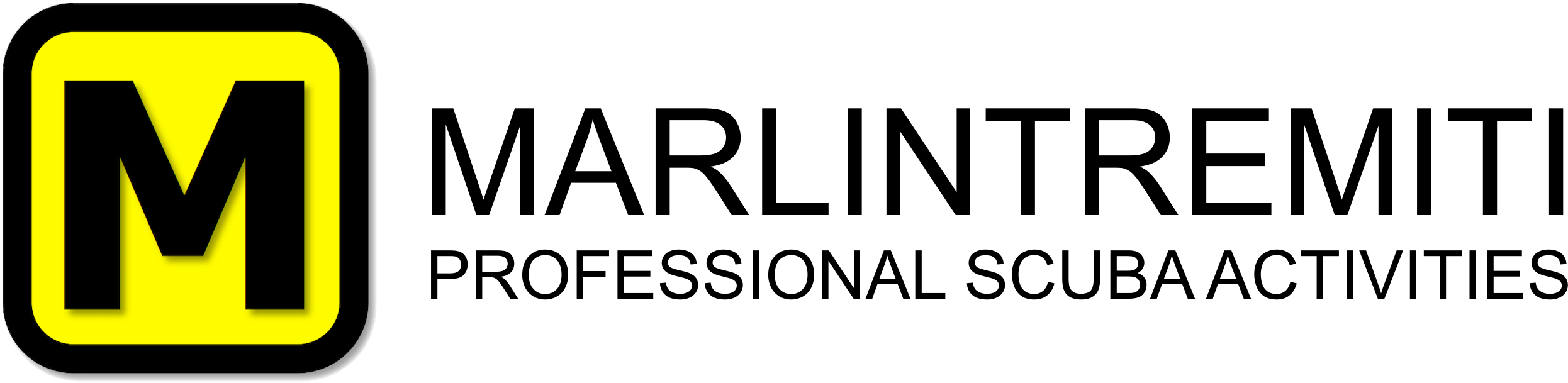 Charter - Black-and-white (2953x690), Png Download