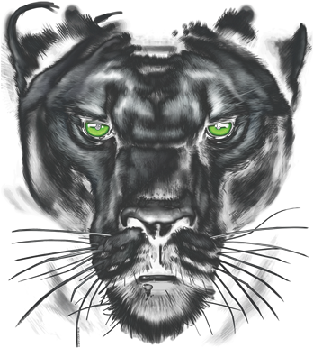 T-shirt: Majestic Panther, Xl. T-shirt (400x400), Png Download