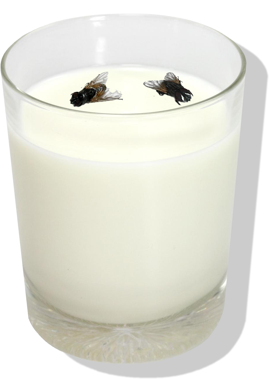 Copodeleite - House Flies (1000x1355), Png Download