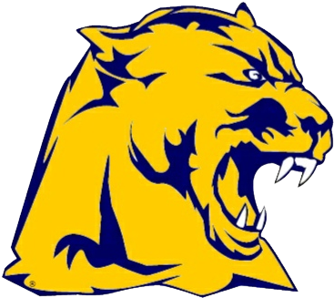 School Logo Image - Whitmer Panthers (382x382), Png Download