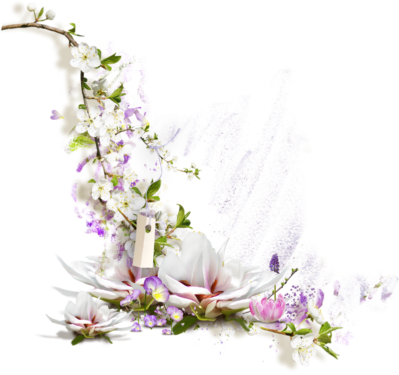 Page 242 Flower Border Png, Borders For Paper, Flower - Coin De Page Fleur (800x800), Png Download