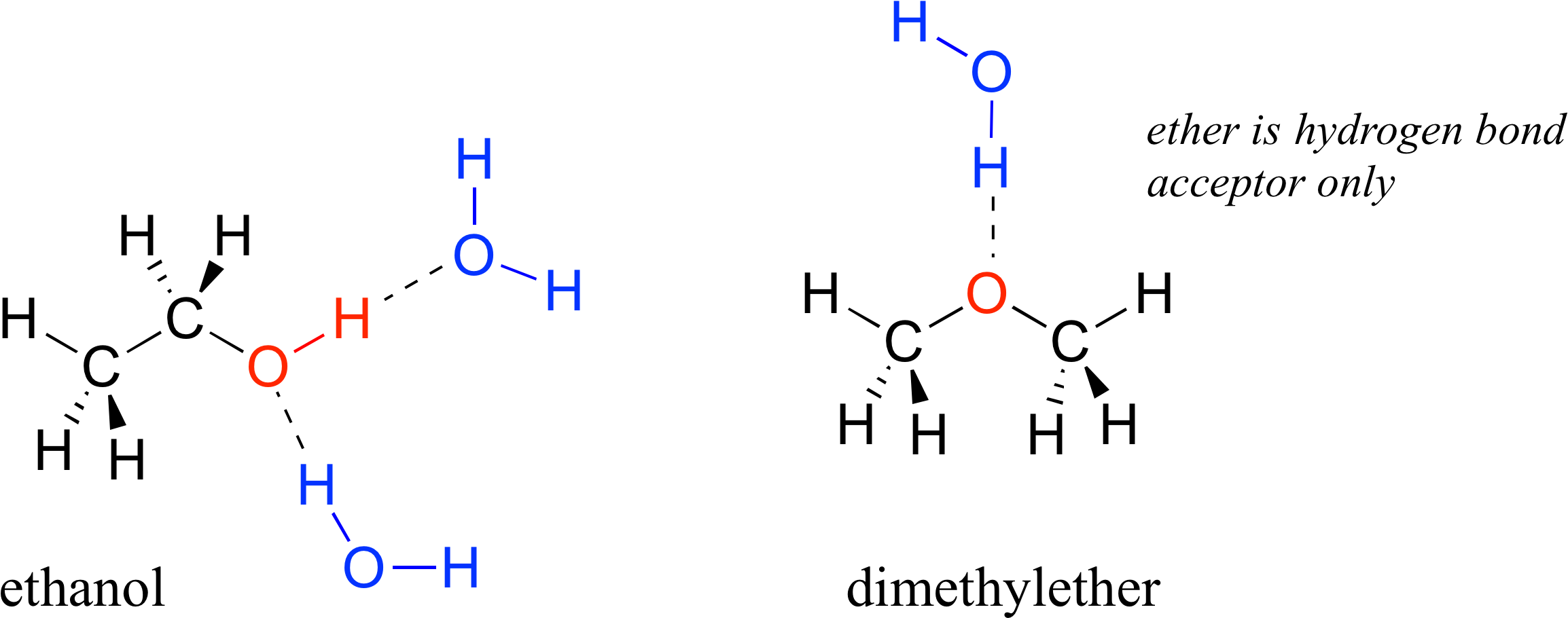 How Many Hydrogen Bonds Can A Water Molecule Form - Hydrogen Bonding In Ether (2332x956), Png Download