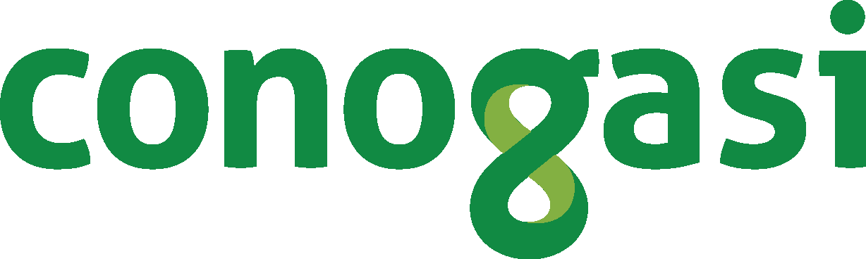 Conogasi Logo - Bitcoin Cash (1228x368), Png Download