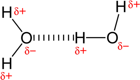 A Hydrogen Bond Between Two Water Molecules - Hydrogen Bonding Simple Examples (500x305), Png Download