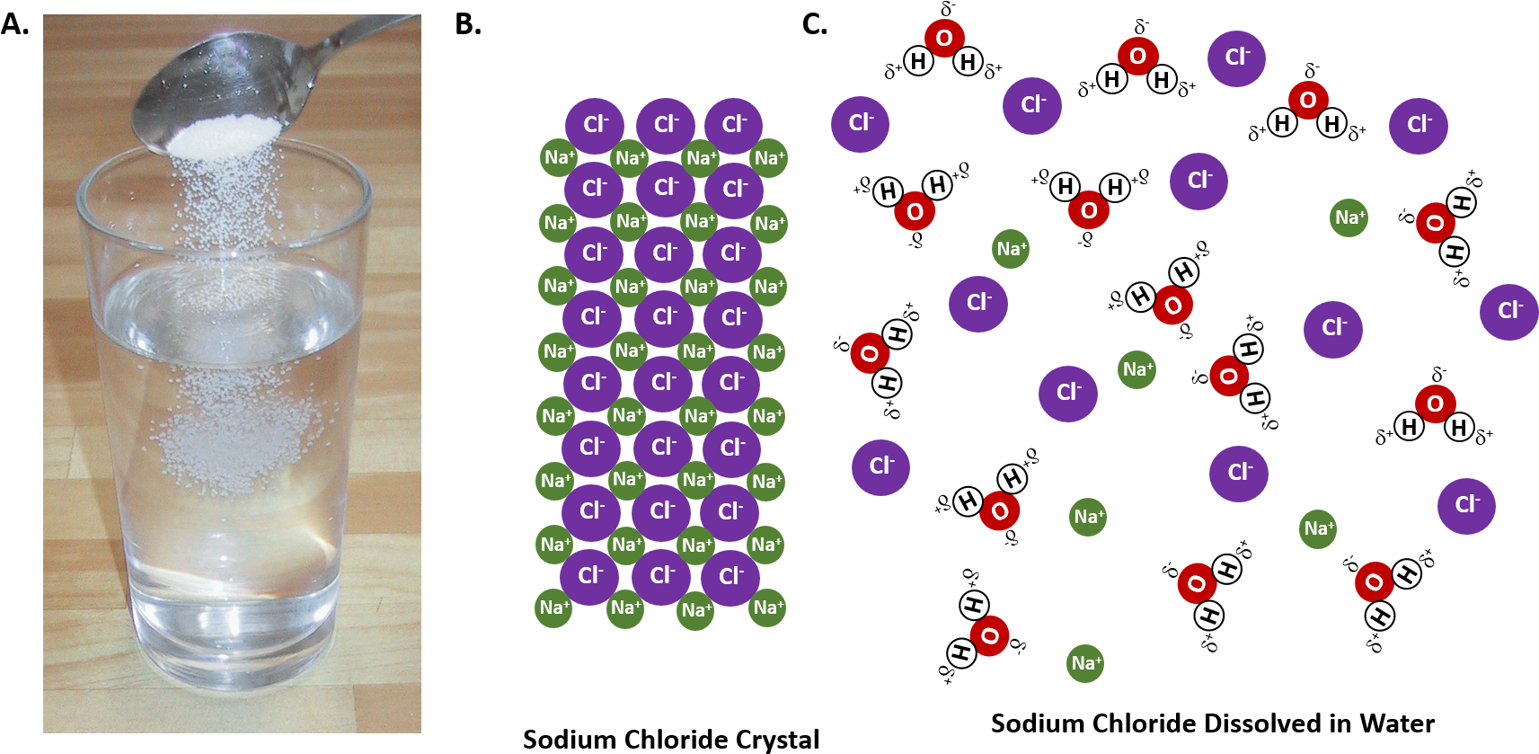 When An Ionic Salt, Such As Sodium Chloride, Shown - Salt Dissolving In Water (1767x878), Png Download