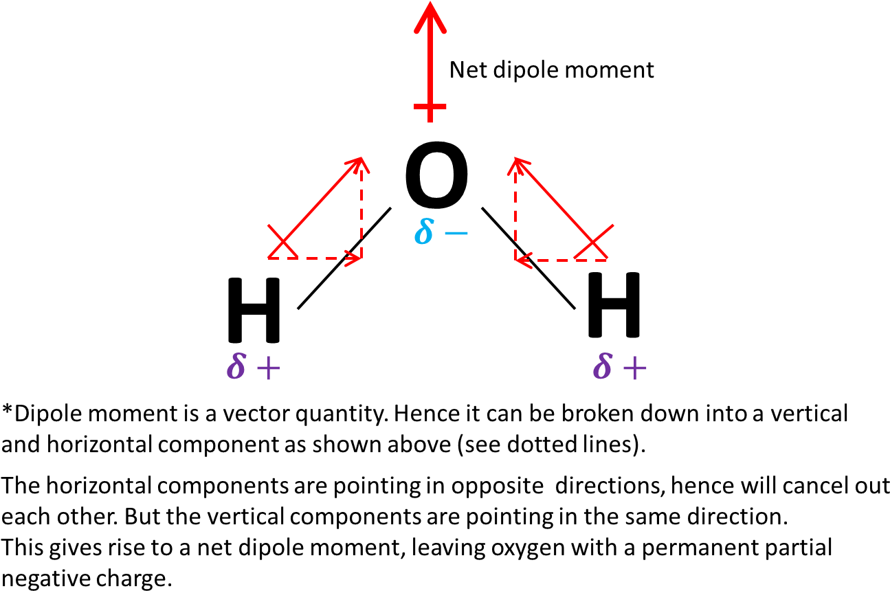 H2o Net Dipole Moment - Momento Dipolar Del Agua (1350x929), Png Download