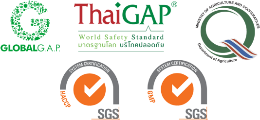 Moreover, Our Company Has Focused More On Studying - Iso 9001 (625x263), Png Download
