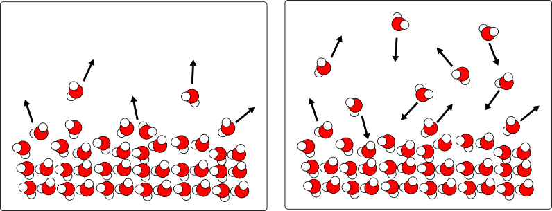 Dynamic Equilibrium Between Liquid And Vapor Water - Water Vapor Molecules (796x305), Png Download