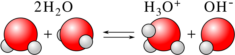 The Hydroxide Can React With The Hydronium Ion To Form - Acids And Bases Molecules (920x233), Png Download
