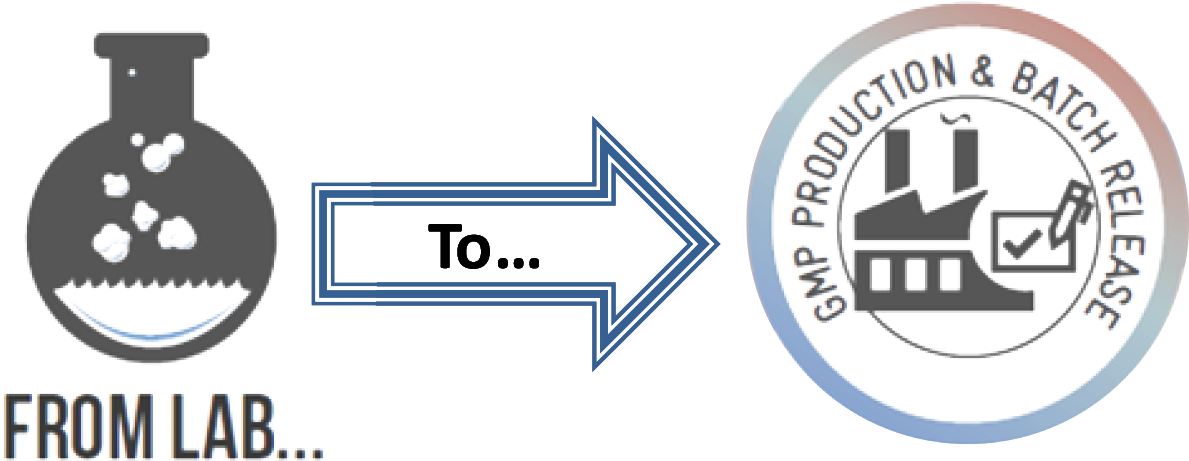 The Gmp Pilot Plant Will Provide Campaign Production - Circle (1247x500), Png Download