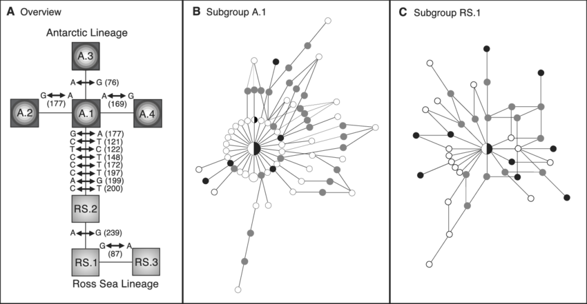 Image Freeuse Stock Relationships Among The Hvri - Diagram (850x441), Png Download