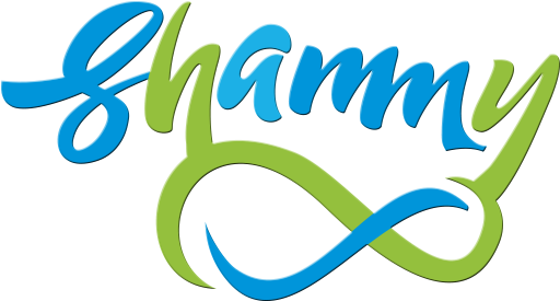 Shammy Car Wash - Car (528x282), Png Download