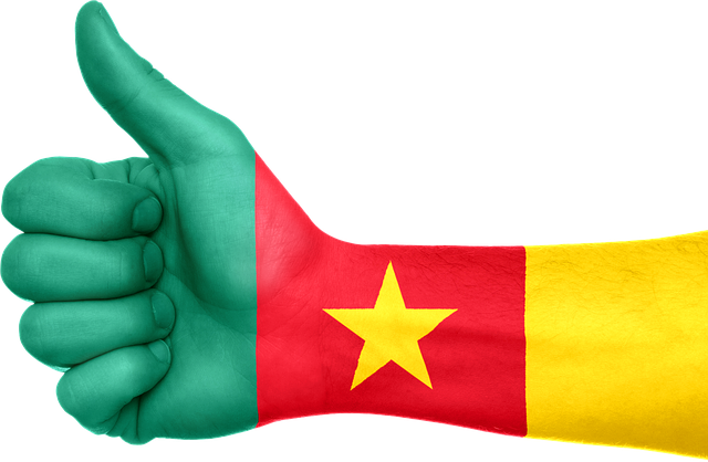 Cameroon Got There Independence From France Also - Peru Es Lo Mejor (640x418), Png Download