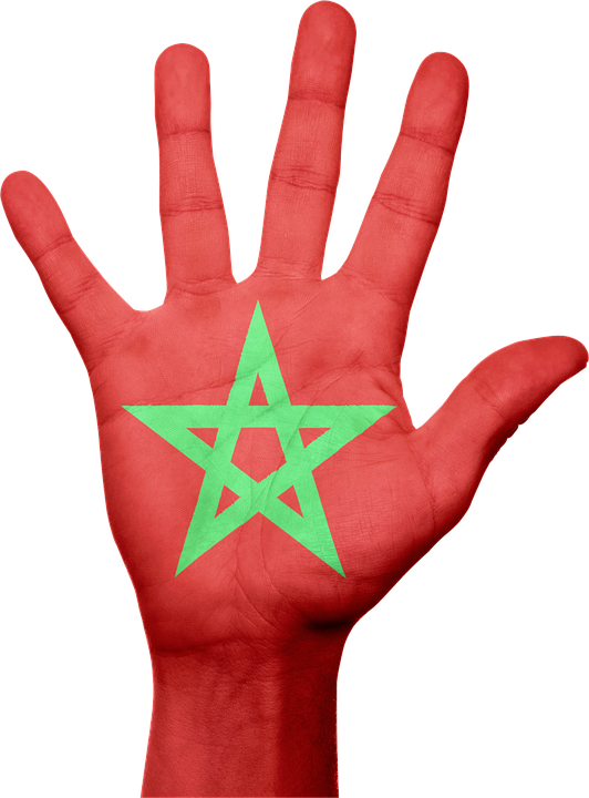 Morocco Marked 60 Years Of Independence From France - Lingala Language: The Lingala Phrasebook And Dictionary (532x720), Png Download