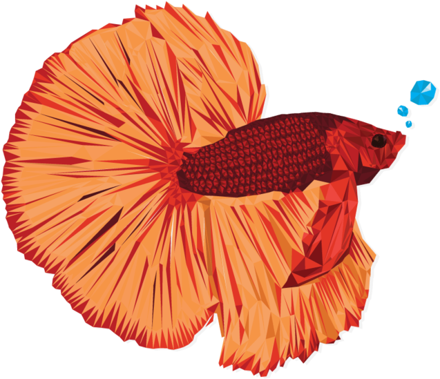 Betta - Illustration (1000x625), Png Download