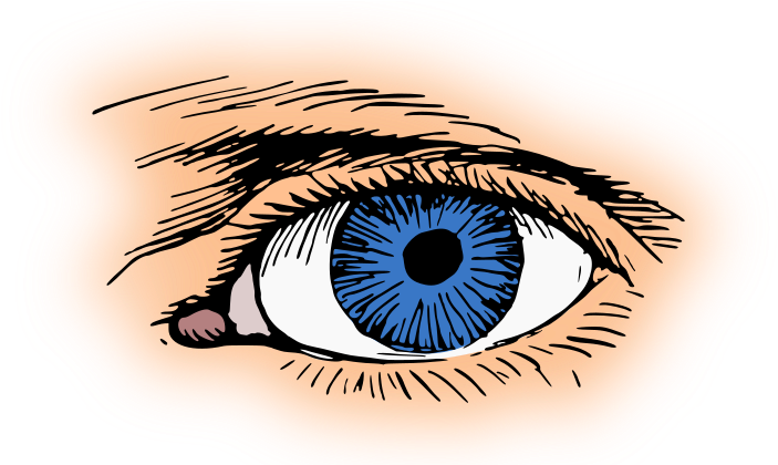 Blue Eyes Clipart Eyeball - Eye Clip Art (713x419), Png Download