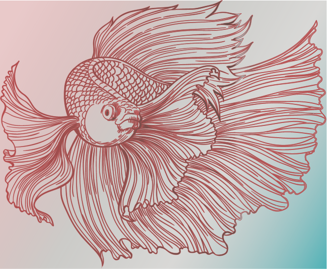 Betta Innovations - Drawing (667x549), Png Download