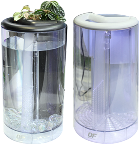 Betta Flora - Ocean Free Betta Flora Tank (942x601), Png Download