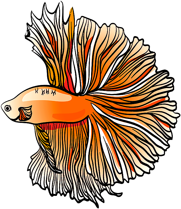 Half Moon Tail Betta - Tail (940x788), Png Download