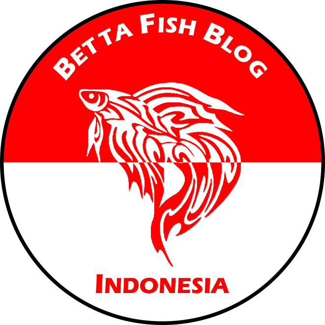 Betta Food Variety - Circle (661x661), Png Download