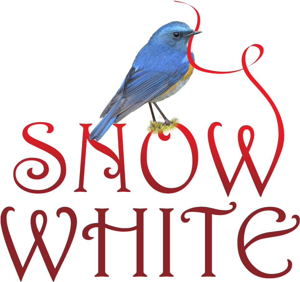 Sw Logo Copy - Psa Essentials Harrington Stamp Or Embosser (1024x951), Png Download