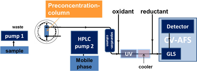 Mercury In All Its Molecular Forms Is Toxic - Diagram (680x253), Png Download