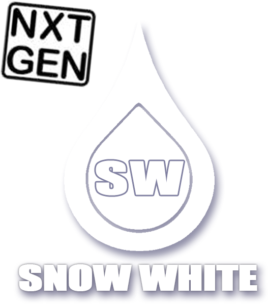 Ftd Nxt Snow White - Snow White And The Seven Dwarfs (618x670), Png Download