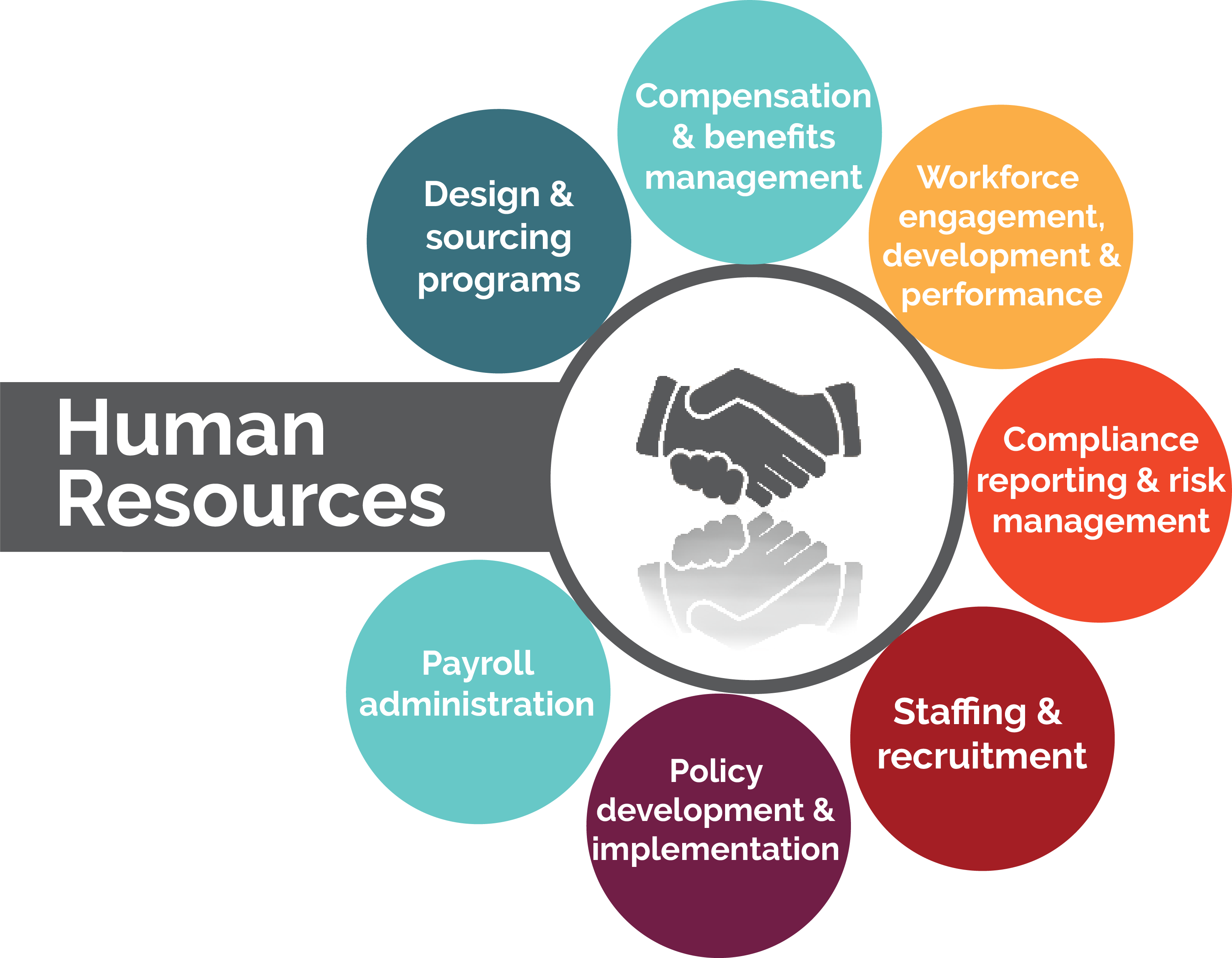 Macc Provides The Expertise Of A Full Human Resource - Human Resources (3191x2482), Png Download
