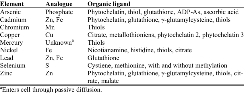 Summary Of Elements And The Element-organic Complexes - Light Sources (850x327), Png Download