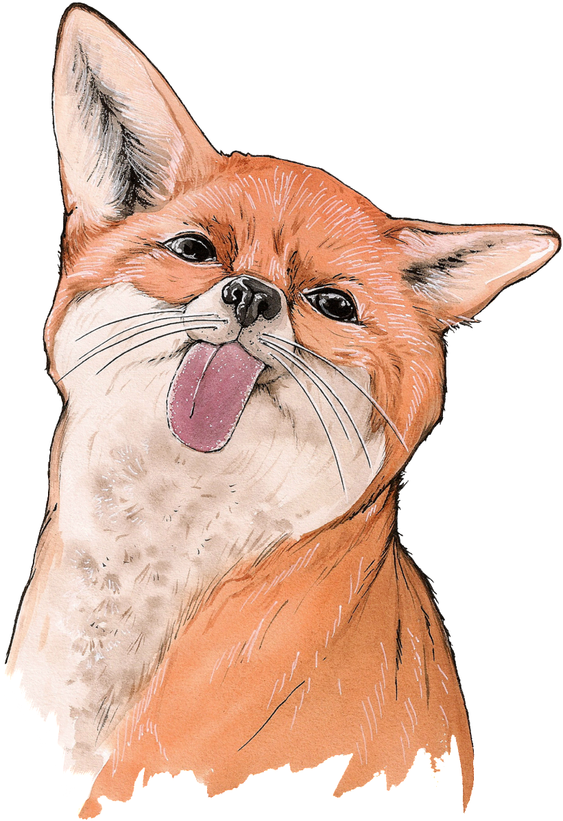 El Lindo Zorros Son Png Transparente - Watercolor Painting (1024x1372), Png Download