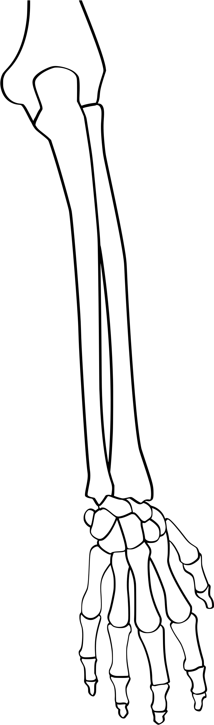 Open - Wikimedia Commons (2000x2828), Png Download