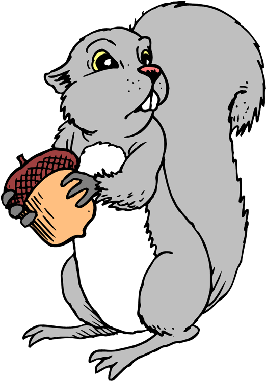 Cute Gray Squirrel Cartoon Character Holding A Acorn - Gray Squirrel Clipart (528x750), Png Download