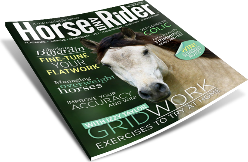 Latest Issue - Horse (818x534), Png Download