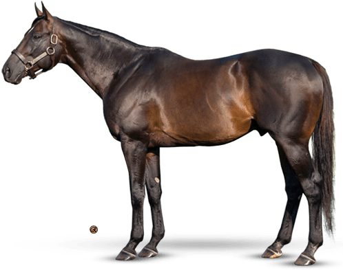 Pioneerof The Nile - Teofilo Horse (500x400), Png Download