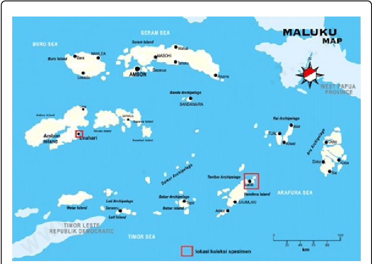 Location Map Of C - Maluku Map (769x545), Png Download