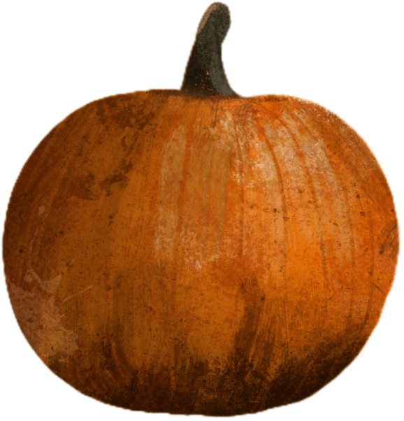 Grunge Brushes For Procreate Is A Brand New Collection - Pumpkin (1024x768), Png Download
