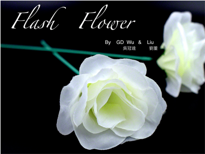 White 2 Pack - White Flash Flower 2pk By Gd Wu Gt Magicstore Trick (400x400), Png Download