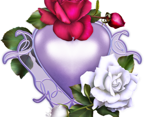 Roses For You Sticker Pack For Imessage - Imessage Flower (495x400), Png Download