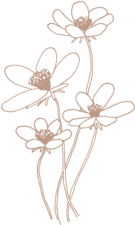 Color-cosmos - Portable Network Graphics (360x360), Png Download