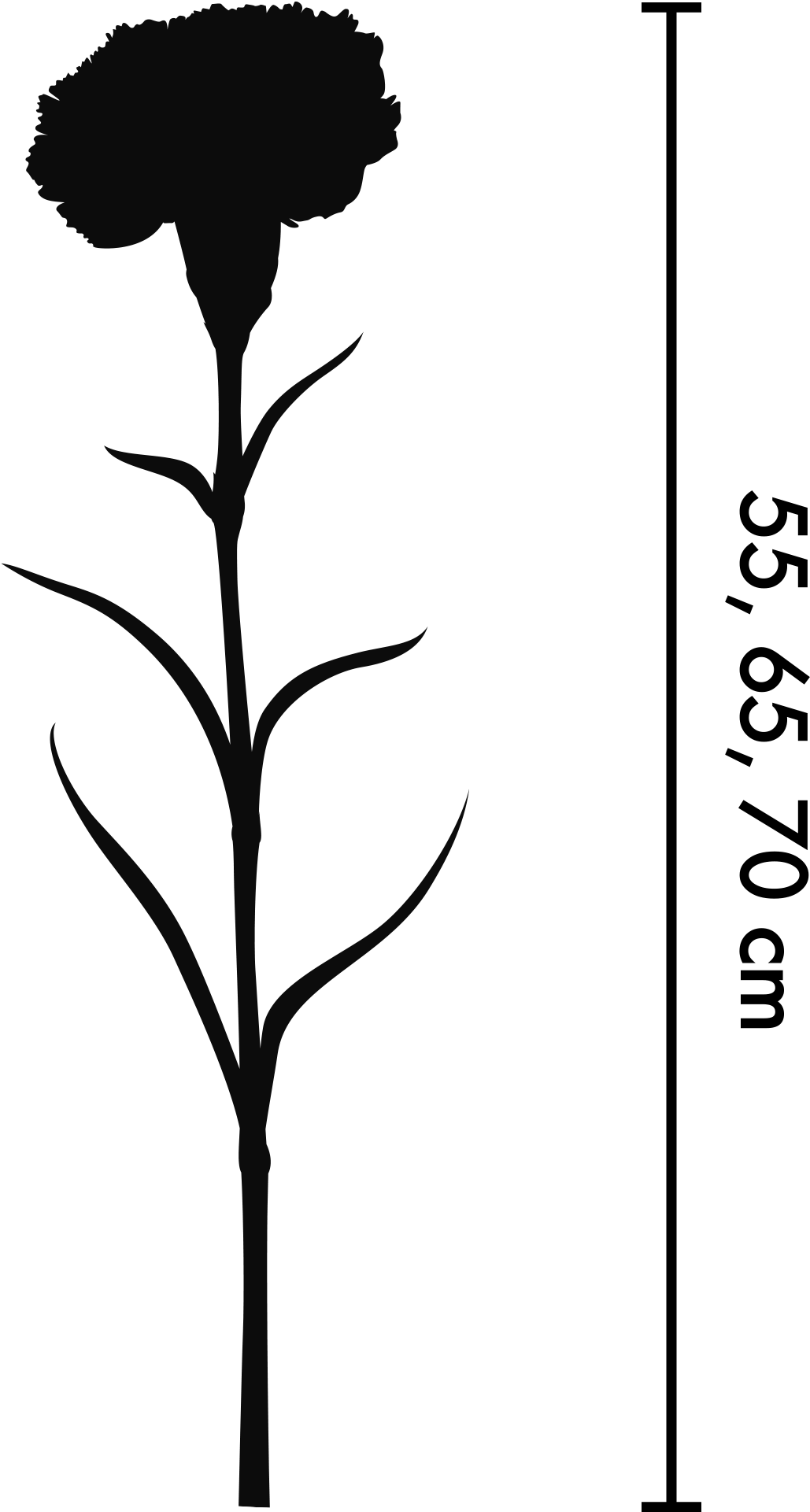 We Offer Different Packs Based On Different Grades - Silhouette (1800x1992), Png Download