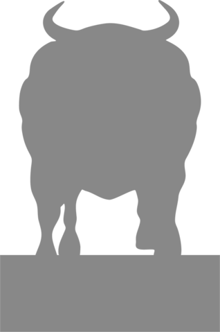 Bull Charging - Bull (318x479), Png Download