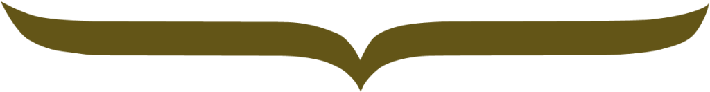 Black Arrow 2 (1024x243), Png Download