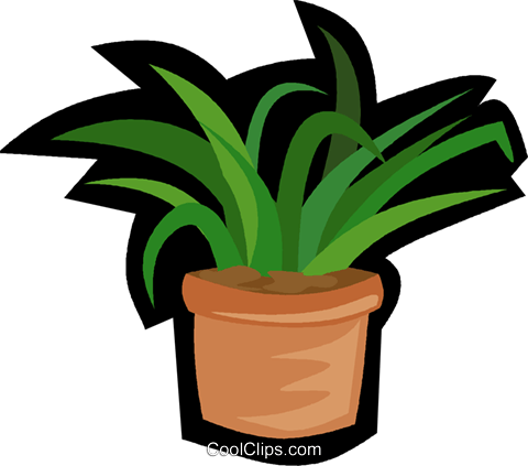 House Plant, Yucca Plant Royalty Free Vector Clip Art - House Plant Clip Art (480x423), Png Download
