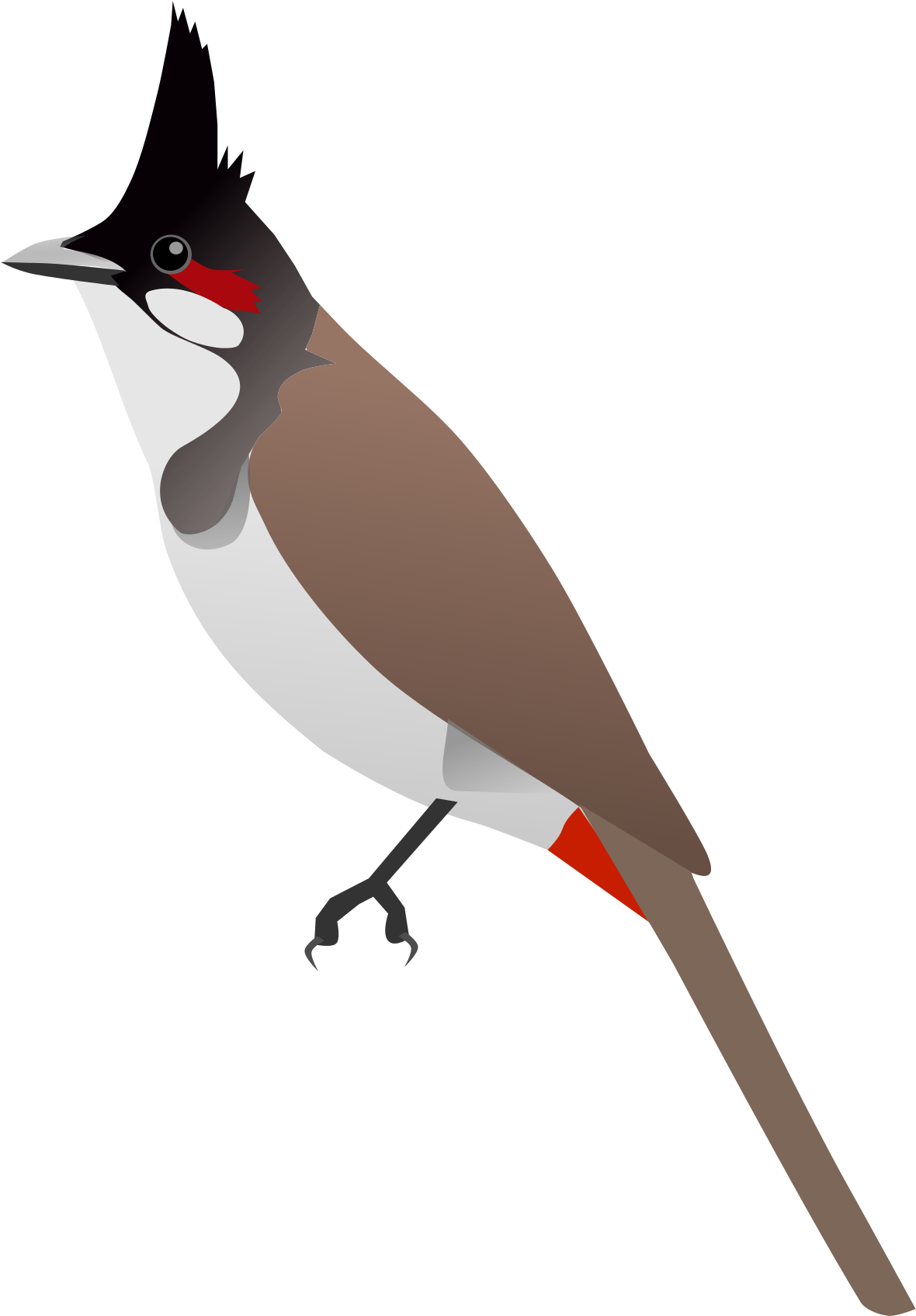 Open - Bulbul Png (2000x2000), Png Download