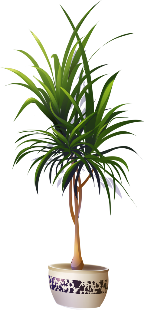 1 - Clipart Palm Potted (476x1024), Png Download